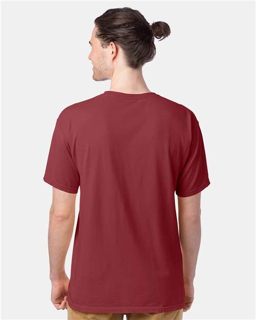 Hanes GDH100 Men's Garment-Dyed T-Shirt - Cayenne - model back