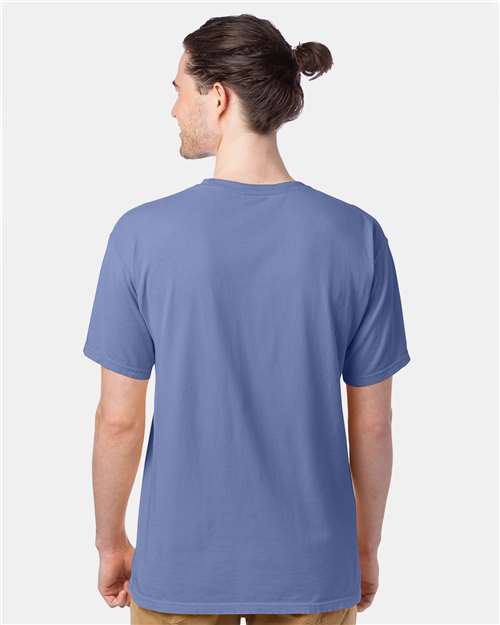 Hanes GDH100 Men's Garment-Dyed T-Shirt - Frontier Blue - model back