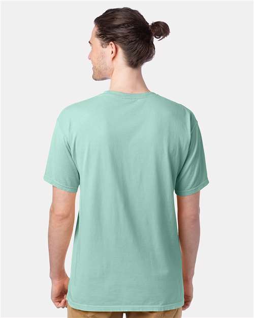 Hanes GDH100 Men's Garment-Dyed T-Shirt - Honeydew - model back
