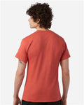 Champion T425 Unisex Classic T-Shirt - Red River Clay - model back