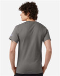 Champion T425 Unisex Classic T-Shirt - Stone Grey - model back