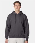 Hanes F170 Ultimate Cotton Hooded Sweatshirt - Smoke Grey - model front